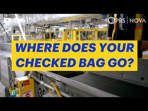 What Happens to Your Checked Bag at the Airport? | NOVA | PBS