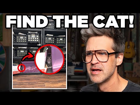 Find The Hidden Cat (Challenge)