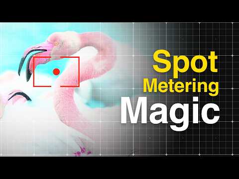 Why Spot Metering WILL Improve Your Photography FAST