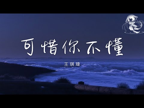 王琪瑋 - 可惜你不懂 「我看見你的心裡空空 步履匆匆 像支微風 拂我眼紅」【動態歌詞】♪