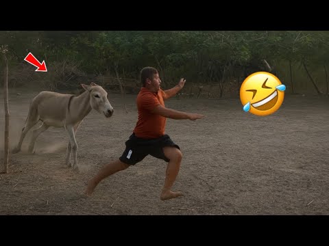 Best Funny Fails of the Week 😂 | Try Not to Laugh Challenge 🤣 Memes Part 5