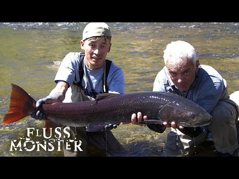 Der mongolische Taimen: Ein legendärer Räuber | S4 E03 | Fluss Monster