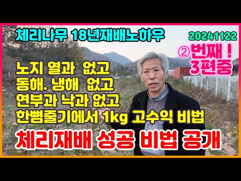 영덕체리 신안농원 체리재배교육 241122 2번째