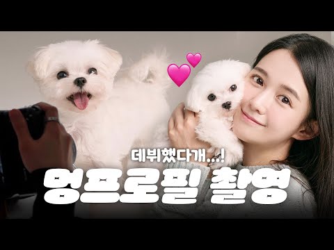 I got a puppy photo. 📸✨🐶 A bucket list item I always wanted to do when I got a puppy❗ Let's take ...