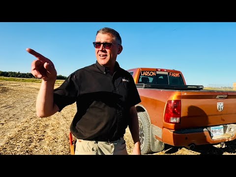 Where Did the Beans Go?