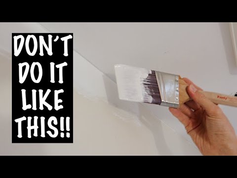 10 Useful BEGINNER Tips for Using a PAINTBRUSH!!