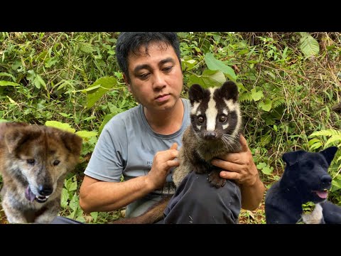 The civet and the Vietnamese man found the intelligent dog by a stream in the forest.