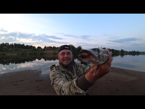 Я ЗНАЛ ЧТО В ЭТОЙ ЯМЕ ЖИВУТ ЗУБАСТЫЕ! ЩУКА НА ЖИВЦА НА ЗАКИДУШКУ \ ТЁМНАЯ НОЧЬ, С БЕЛЫМИ ГОСТЯМИ!!!