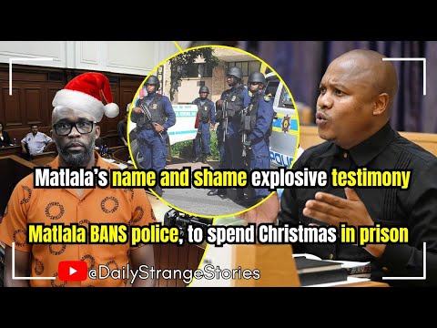 Cat Matlala's explosive testimony, but on 1 big condition: to spend Christmas & new year in prison