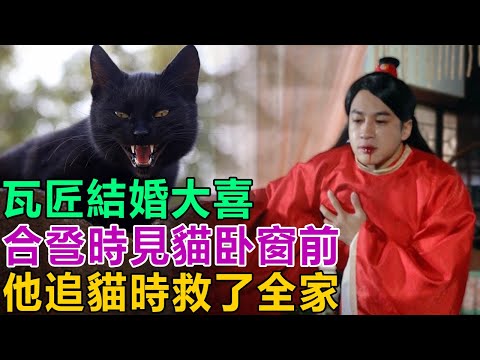 民間故事：瓦匠結婚大喜，合巹時突見貓卧窗前，他追貓時救了全家