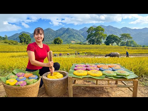 TIMELAPSE -- Cooking 100Kg Rice Cake with Homestyle, Enjoy with Delicious Meals | Phương Countryside