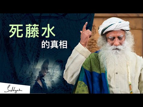 死藤水 🐍 能讓你馬上開悟嗎？