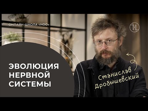 ГРУЗ ПРОШЛОГО В МОЗГЕ ЧЕЛОВЕКА | Дробышевский об эволюции нервной системы | НОО
