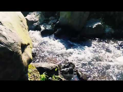 Relaxing River Stream ASMR | Pure Nature Sound for Sleep & Focus