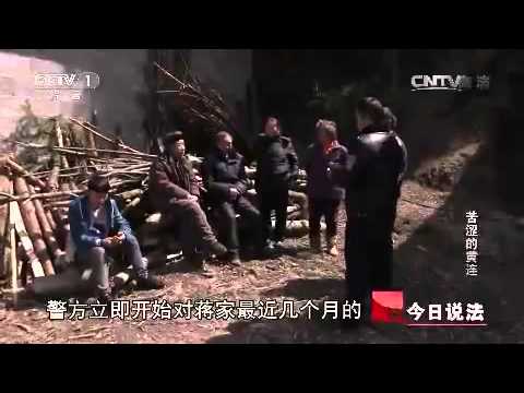 20150711 今日说法  苦涩的黄连