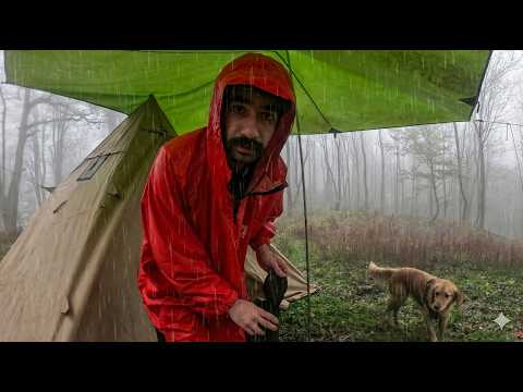 کمپینگ چالشی در باران شدید جنگل های گیلان! / دوباره نصف شب اومدن سراغم!