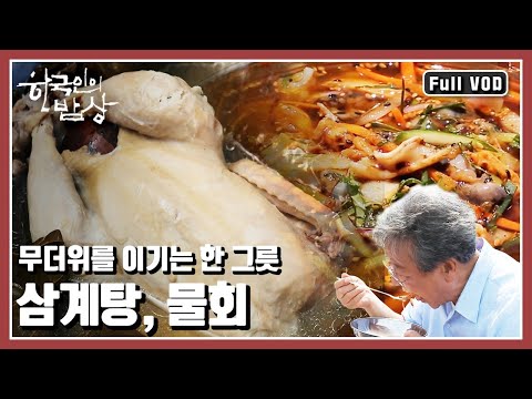 [한국인의밥상★풀버전] 뜨겁지만 시원하고 차갑지만 따뜻한 한 그릇 |  “몸이 기억하는 여름의 맛, 삼계탕과 물회” (KBS 20170720 방송)