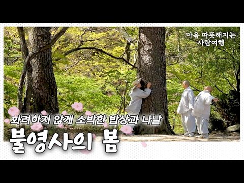 화려하지 않지만 소박한 밥상과 나날들, 충만한 봄🌷🌸🍀 울진 불영사 이야기｜[국내여행] KBS 20170505