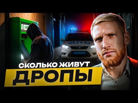 ⚠️ Сколько Живут Дропы в 2025?! Вся правда о «лёгких» деньгах