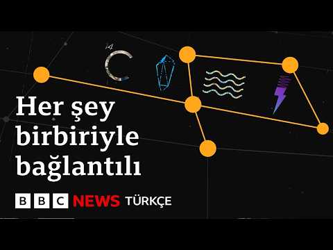 Bilimde zincirleme etki: Neden her şey birbiriyle bağlantılı?