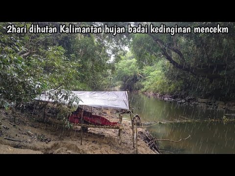 Camping 2hari di hutan Kalimantan hujan badai kedinginan mencekm