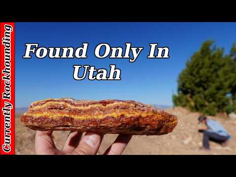 The Bubble Opal Claim