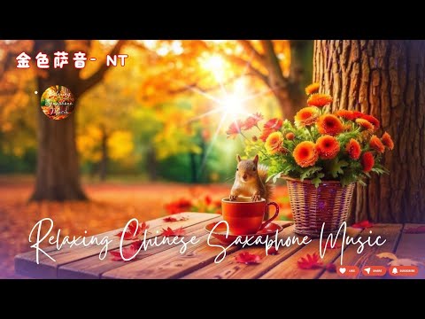 【100% 無廣告 ,放鬆音樂】薩克斯風輕音樂 往事難追憶 薩克斯風演奏 台語老歌 (漂浪之女.癡情台西港.快樂的出帆 .情難斷夢袂醒.想厝的人)