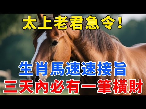 太上老君急令！生肖馬，速速接旨！三天內必有一筆橫財進家門，不接就沒了！【禪心】#生肖 #運勢 #風水 #財運#命理