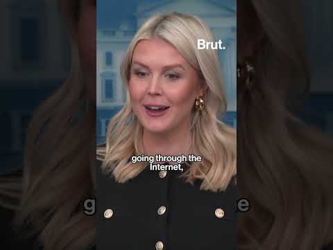 Karoline Leavitt says Trump has been repeatedly "falsely called a racist" by Democrats