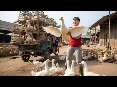 Selling Many Big 4KG Ducks Using a 3-Wheeled Truck | Full Transport to the Village Market