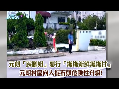 東張西望｜元朗「踩腳姐」惡行「鑊鑊新鮮鑊鑊甘」 元朗村屋向人掟石頭危險性升級!｜踩腳姐｜元朗村屋｜黎寬怡