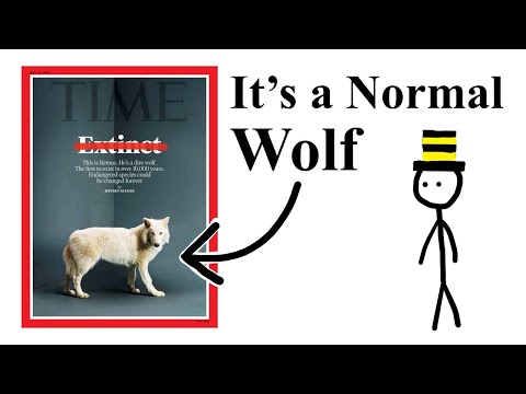 Scientists did NOT bring dire wolves back from extinction