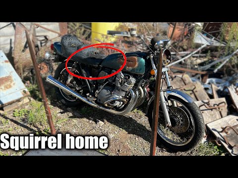 Can I Get This $300 Old Suzuki Motorcycle Running?