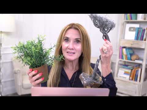 Podcast 302: The 4 main trauma responses + a 5 step Neurocycle for healing trauma