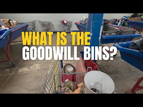 My first time finding this at the Goodwill Outlet Bins β’ thrift with me