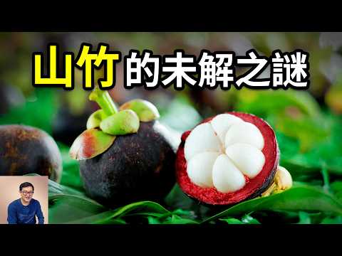 世界上最詭異的水果,超離譜未解之謎至今無人破解!熱帶水果皇后山竹的瘋狂真相……【老肉雜談】#水果 #植物 #熱帶水果 #夏季水果 #科普