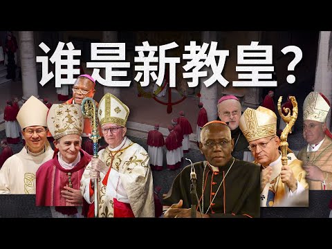 新教皇会是黑人吗？教皇选举的标准是什么？下一任教皇会是谁？一个视频都知道 【2025教皇选举】