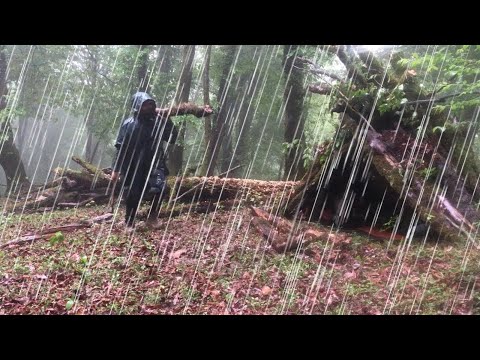 CRAZIEST THUNDERSTORM I EVER MET‼️2 Days Camping in Torrential Rain and Thunderstorm