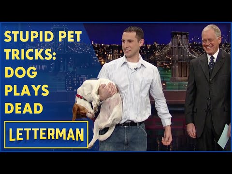 Stupid Pet Tricks: Dog Plays Dead | Letterman