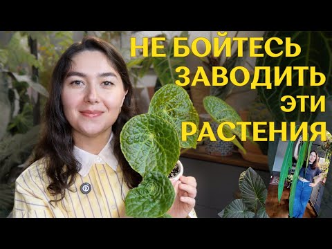 ALTERNATIVE list of EASY-TO-Grow plants | collectible PLANTS that are EASY to grow 🪴