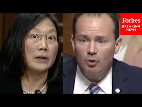'You've Stated A Couple Things That I Find Troubling': Lee Grills Judicial Nom On Past Statements