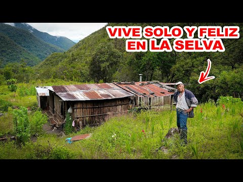 Ex BOMBERO DEJÓ la CIUDAD para VIVIR SOLO en el PARAISO de la SELVA