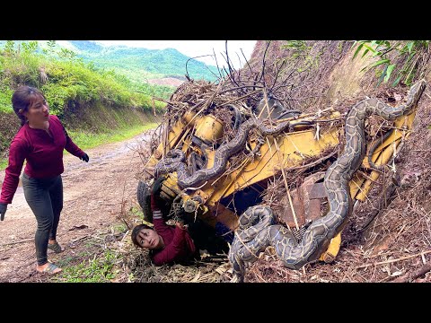 The challenge of a genius girl starting a business with machinery, products for YANMAR machinery