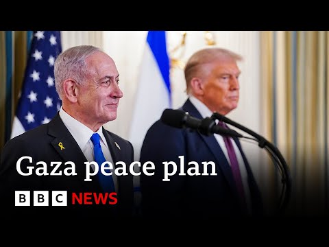 Trump peace plan 'ignores interests of Palestinian people', Hamas official says | BBC News