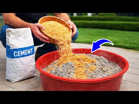 Hidden Secret! Mix WOOD SHAVINGS with CEMENT and see what most people don't even imagine happens!