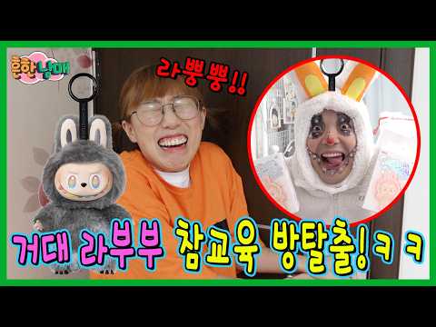 오빠물건 팔아서 라부부 사는 에이미 거대 라부부로 참교육하기!ㅋㅋㅋㅋ