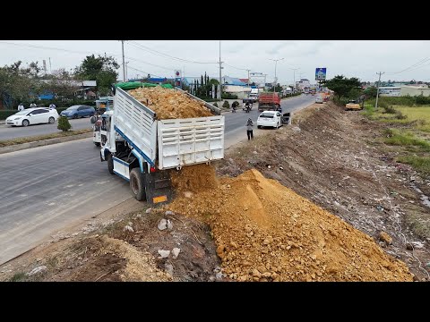 OMG Perfectly! Transaction Fill up land huge Project, Bulldozer KOMATSU Team & Dump Truck Unloading