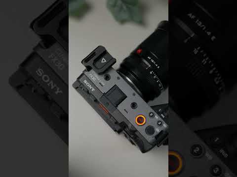 FX 30 short new
