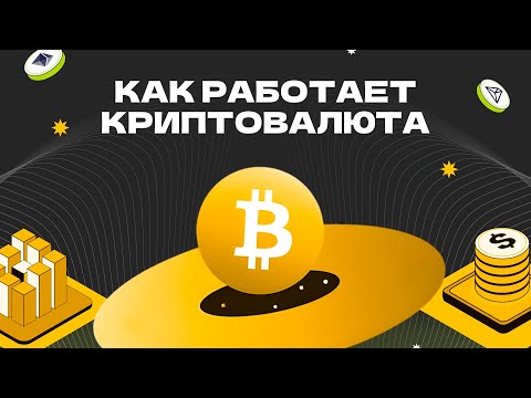 Как на самом деле Работает Криптовалюта