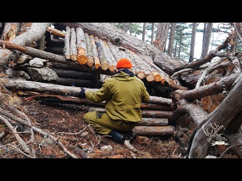 Alone in the misty forest 🌲Shelter by fallen free 🪾part 2